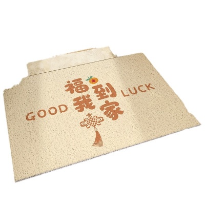 入户地垫高级感玄关防滑脚垫家用进门门口刮泥蹭土丝圈地垫可代发