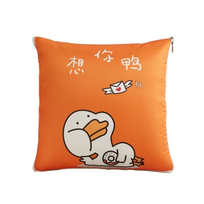 四季款多功能抱枕被子两用汽车沙发靠垫礼品抱枕批发午息空调盖毯