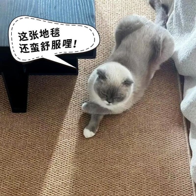 仿剑麻防猫抓地毯客厅卧室床边日式榻榻米纯色拍照地垫猫抓垫猫用