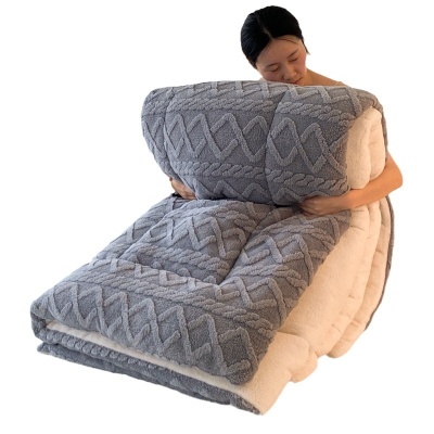 跨境外贸爆款塔肤绒被子常年不断货简约纯色被芯厂家直销批发礼品