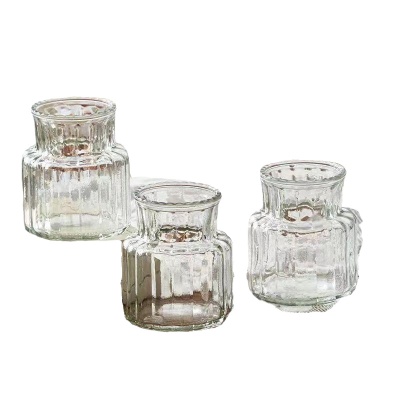 【三件套】ins风迷你玻璃小花瓶水培绿植装饰桌面透明插花器摆件