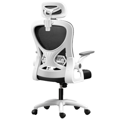 椅子转椅办公椅舒适久坐电脑椅家用学习会议椅职员人体工学椅