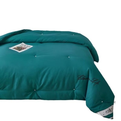 纯色绣花蚕丝被子被芯加厚冬被春秋蚕丝被夏凉被空调薄被子礼品被