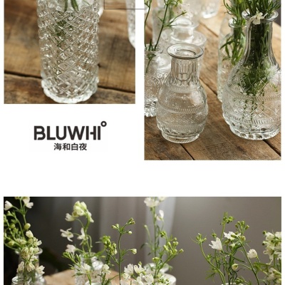 复古轻奢迷你玻璃花瓶透明高级感客厅ins风家居摆件插花小花瓶
