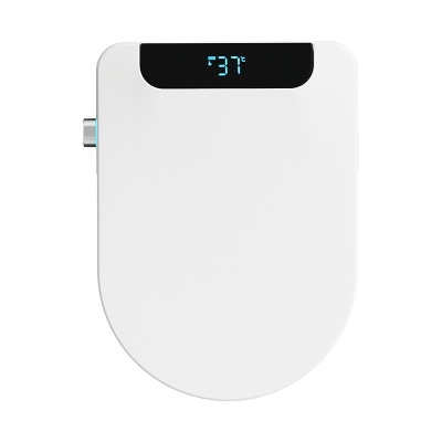 跨境智能马桶盖感应翻盖妇洗即热冲洗暖风加热座圈工厂直发包安装