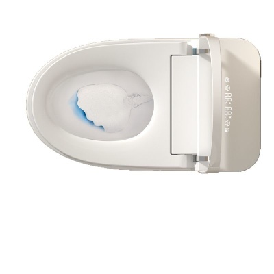 日本原装智能马桶全自动杀菌一体式家用坐大便器电动即热无水压