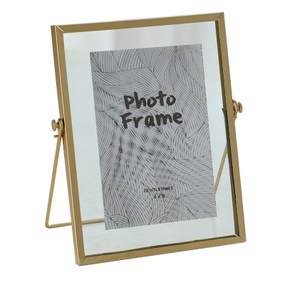 北欧轻奢金属相框摆台玻璃创意中空标本植物框照片框摆件6寸批发