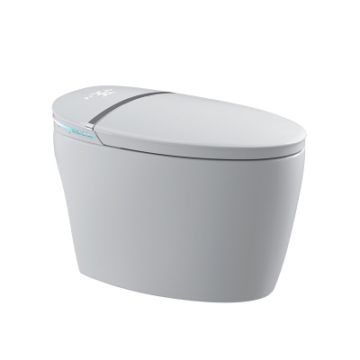 新款蛋形自动翻盖智能马桶两用坐便器无水压即热型酒店卫生间批发